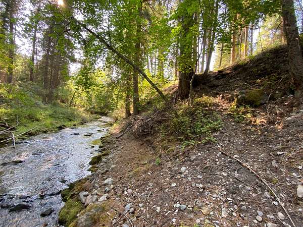 1.1 Acres of Residential Land for Sale in Thompson Falls, Montana