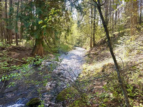 1.1 Acres of Residential Land for Sale in Thompson Falls, Montana