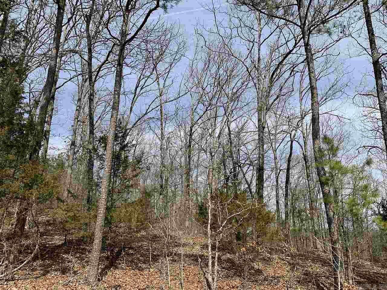 0.41 Acres of Residential Land for Sale in Edgemont, Arkansas