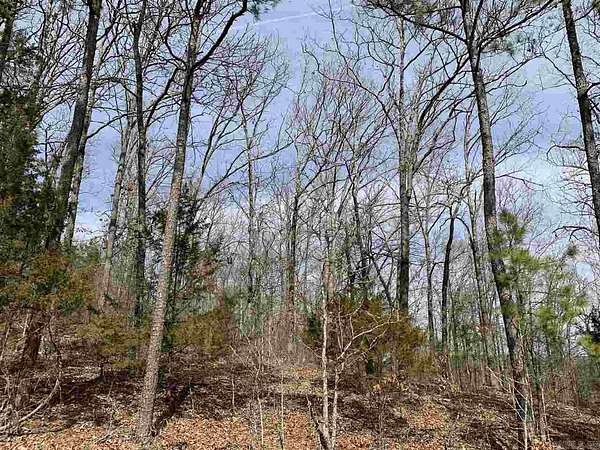 0.41 Acres of Land for Sale in Edgemont, Arkansas