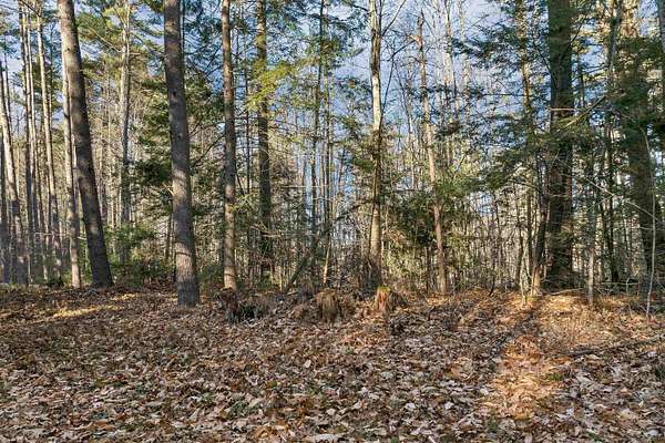 4 Acres of Residential Land for Sale in Wolfeboro, New Hampshire