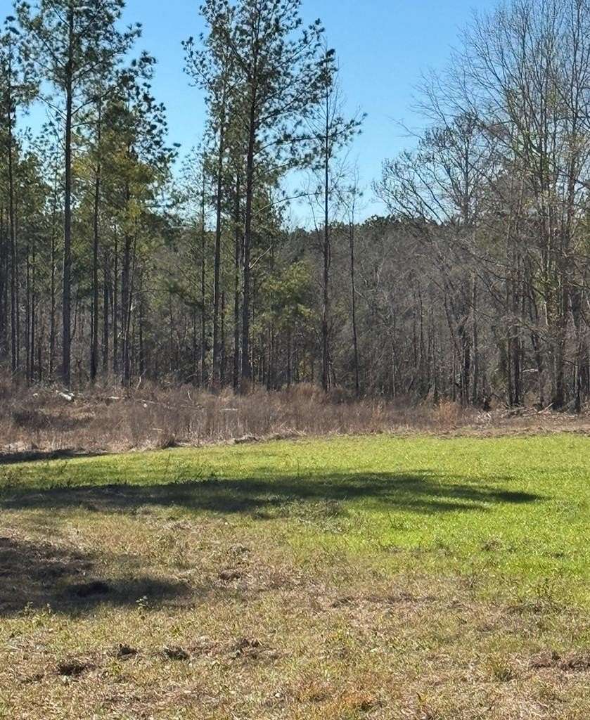 62 Acres of Recreational & Residential Land for Sale in Brundidge, Alabama