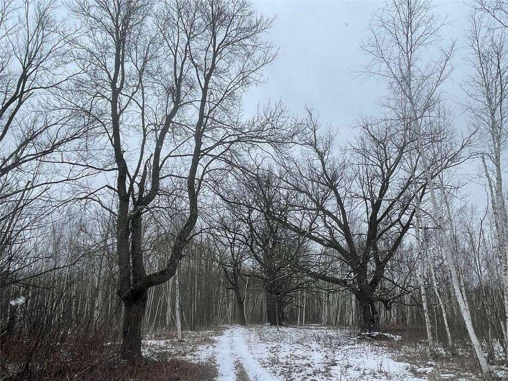 30 Acres of Recreational Land for Sale in Brook Park, Minnesota
