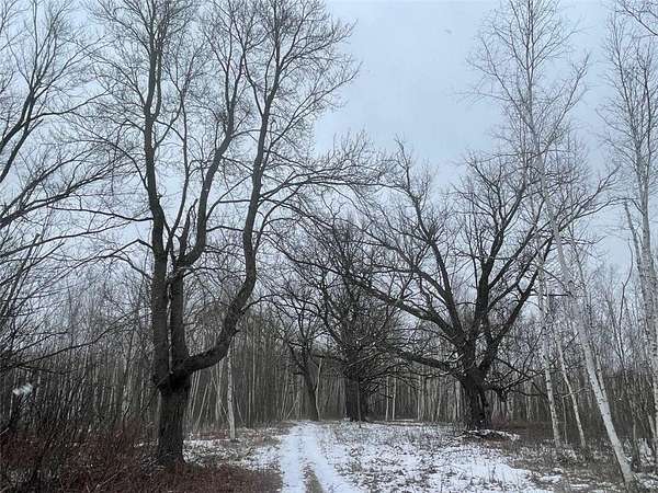 30 Acres of Recreational Land for Sale in Brook Park, Minnesota