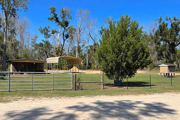 0.22 Acres of Residential Land for Sale in Steinhatchee, Florida