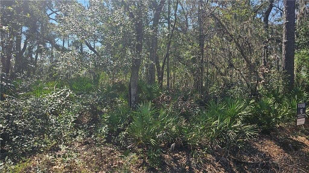 0.54 Acres of Residential Land for Sale in Brunswick, Georgia