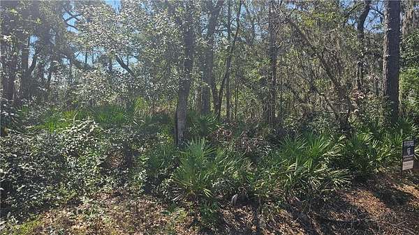 0.54 Acres of Residential Land for Sale in Brunswick, Georgia