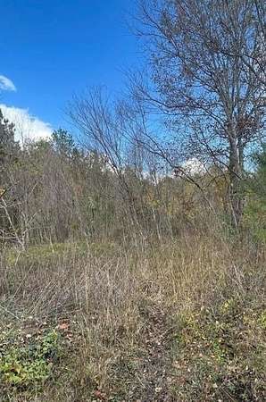 0.53 Acres of Residential Land for Sale in Lufkin, Texas