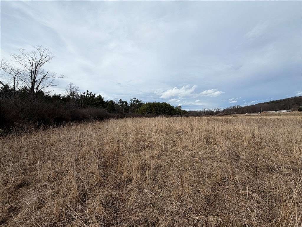 14.1 Acres of Agricultural Land for Sale in Tyrone, New York