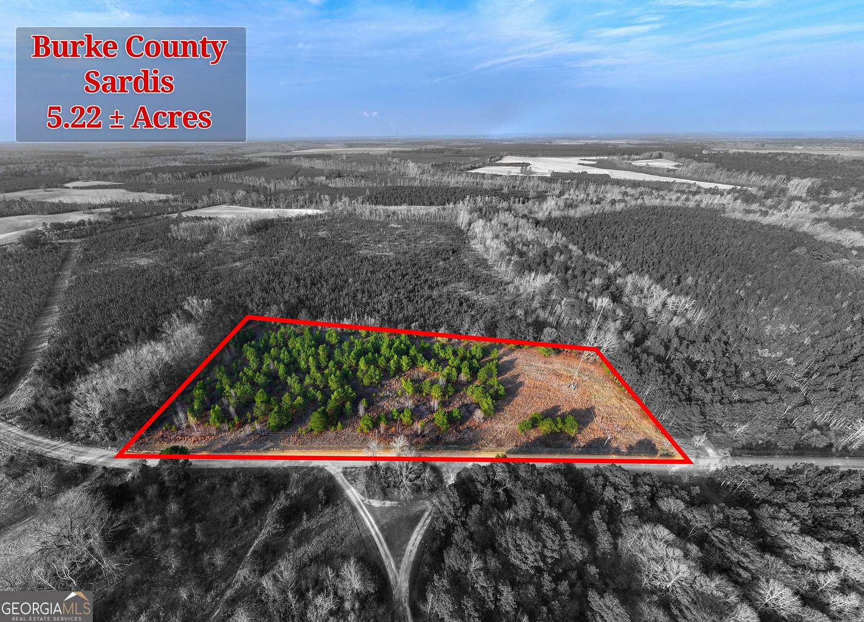 5.22 Acres of Recreational Land for Sale in Sardis, Georgia