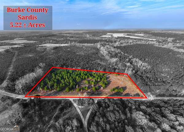5.22 Acres of Recreational Land for Sale in Sardis, Georgia