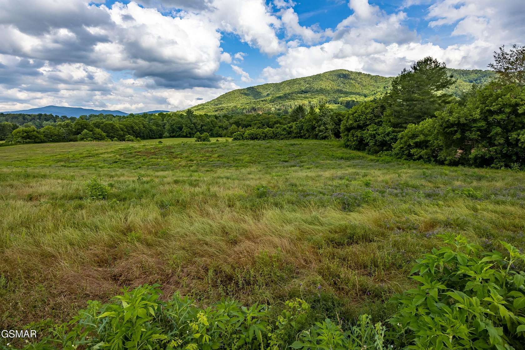 8 Acres of Land for Sale in Cosby, Tennessee