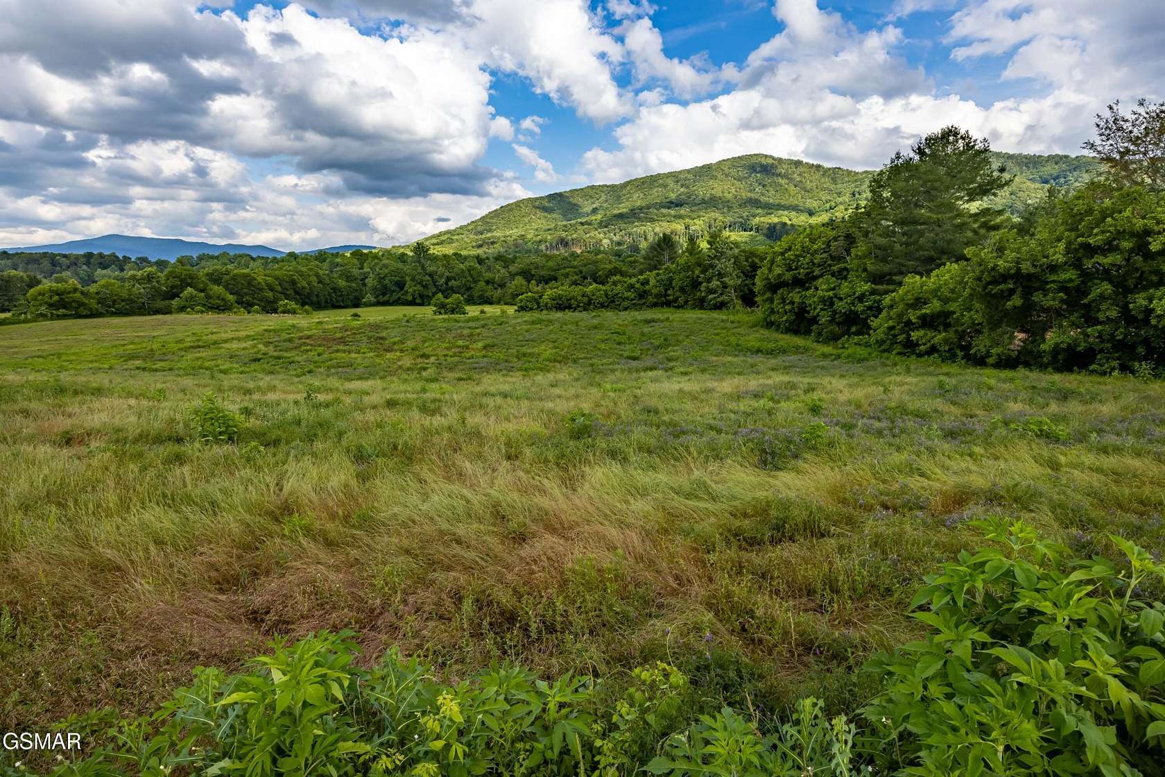 8 Acres of Residential Land for Sale in Cosby, Tennessee