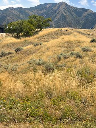 0.36 Acres of Residential Land for Sale in Elk Ridge, Utah