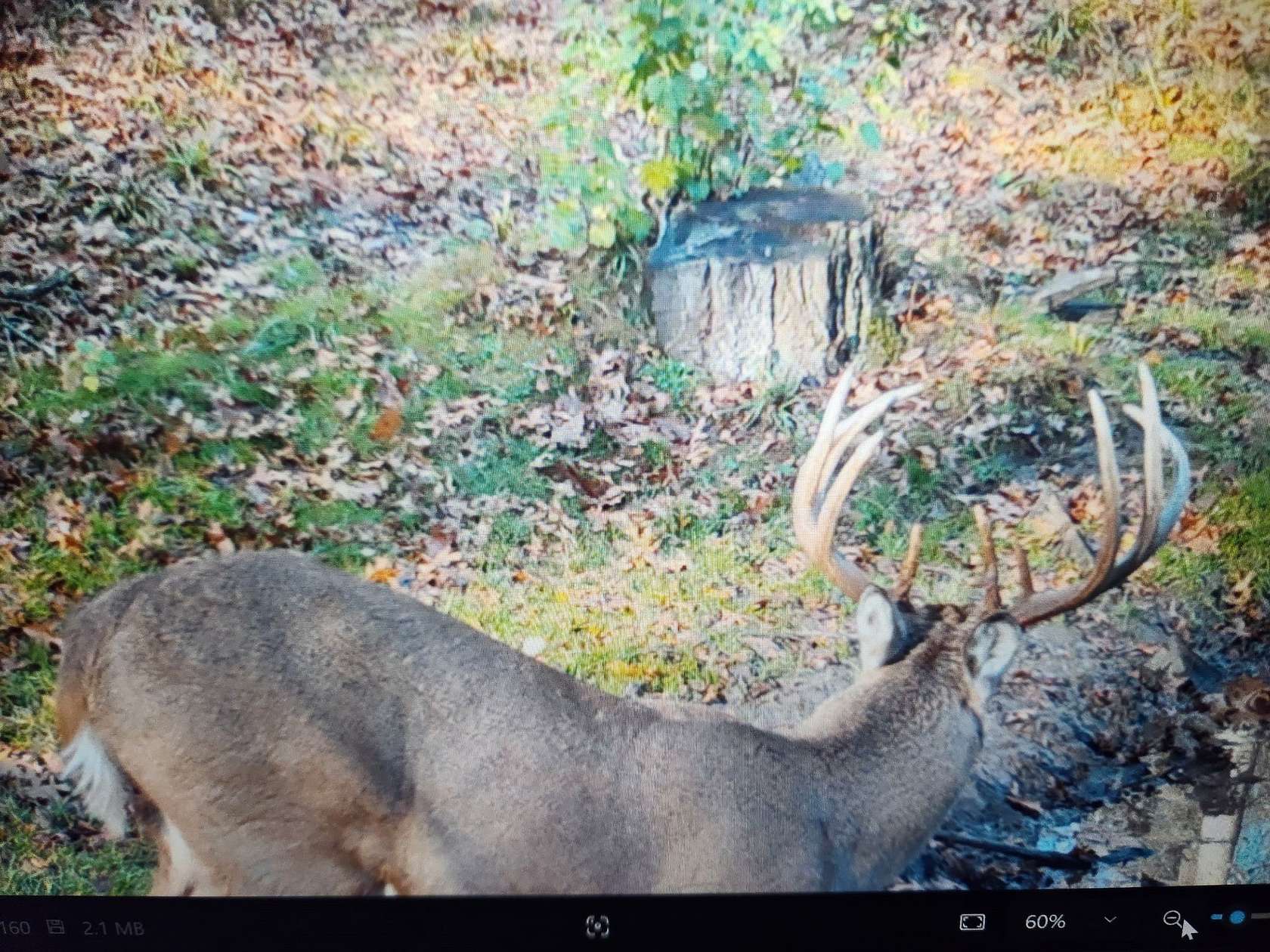 48.6 Acres of Recreational Land for Sale in Independence, Wisconsin