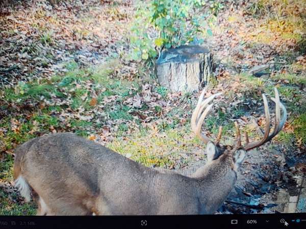 48.6 Acres of Recreational Land for Sale in Independence, Wisconsin