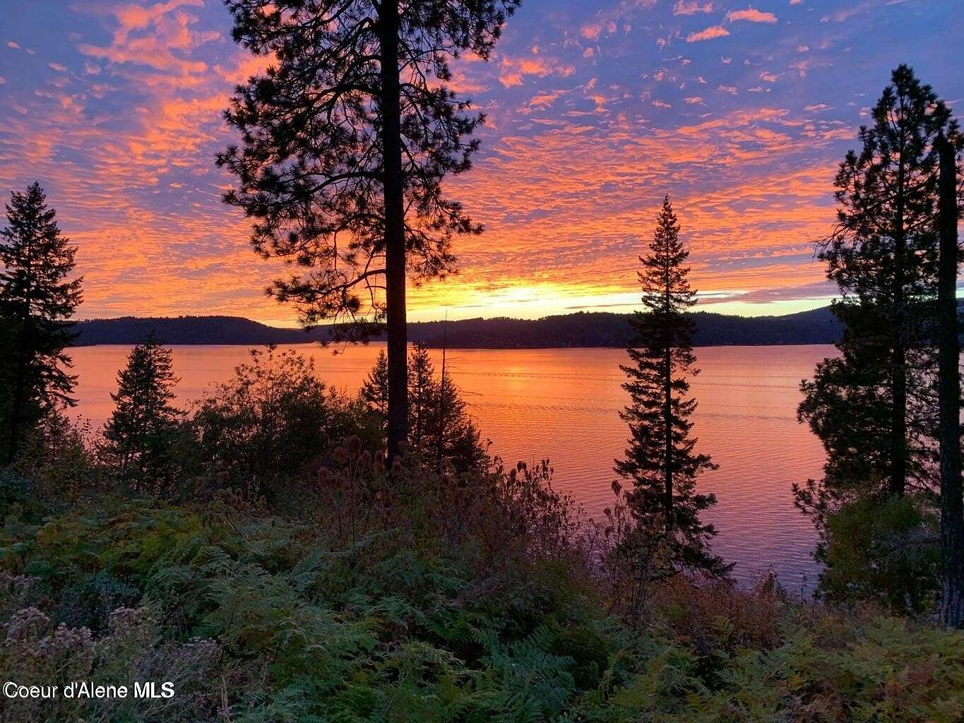 14.6 Acres of Land for Sale in Harrison, Idaho