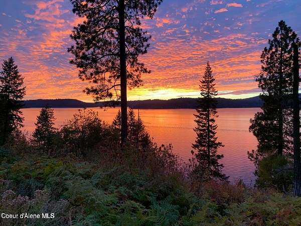 14.6 Acres of Land for Sale in Harrison, Idaho