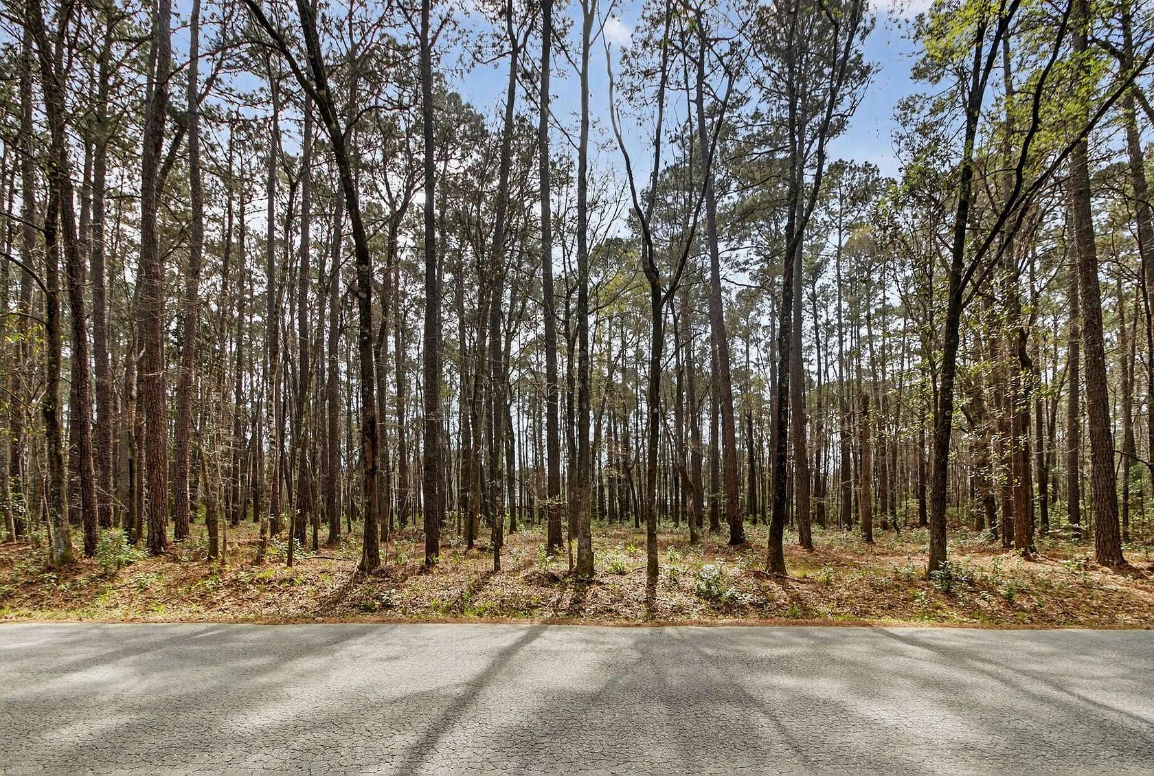 3 Acres of Residential Land for Sale in Summerville, South Carolina