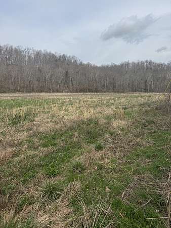 9.33 Acres of Land for Sale in Lafayette, Tennessee