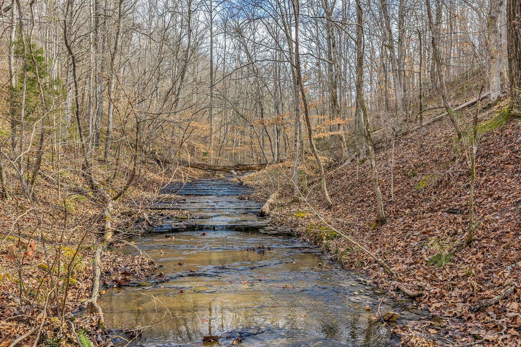 8.23 Acres of Residential Land for Sale in Pegram, Tennessee