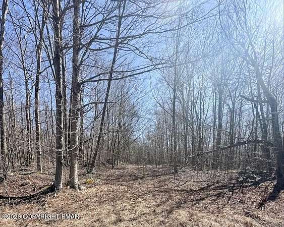 0.27 Acres of Residential Land for Sale in Tobyhanna, Pennsylvania