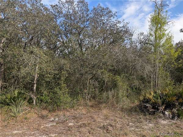 1.89 Acres of Residential Land for Sale in Homosassa, Florida