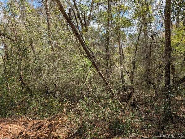 0.3 Acres of Residential Land for Sale in Dunnellon, Florida