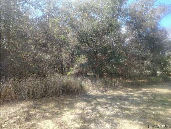 2.56 Acres of Residential Land for Sale in Beverly Hills, Florida