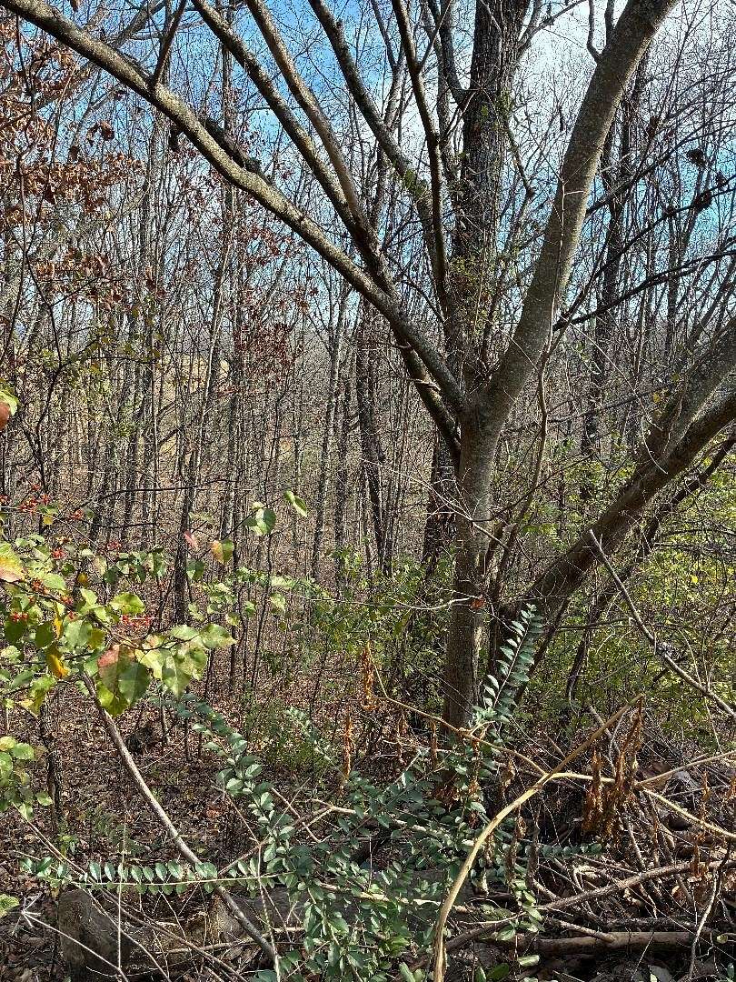 2.66 Acres of Residential Land for Sale in Sweetwater, Tennessee