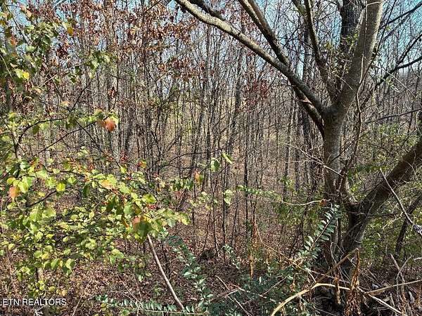 2.66 Acres of Residential Land for Sale in Sweetwater, Tennessee
