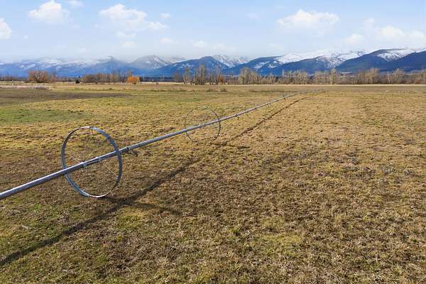 39.6 Acres of Recreational & Residential Land for Sale in Stevensville, Montana