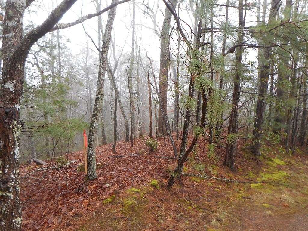 1 Acre of Residential Land for Sale in Franklin, North Carolina