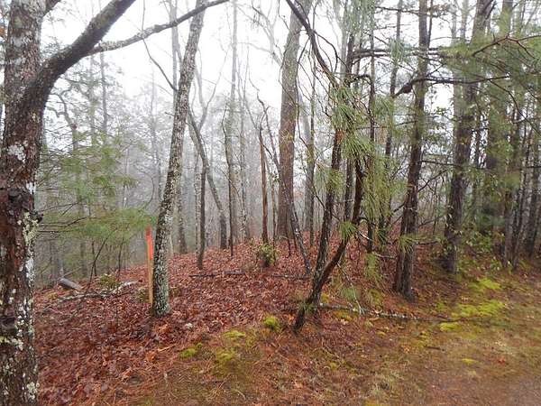 1 Acre of Residential Land for Sale in Franklin, North Carolina