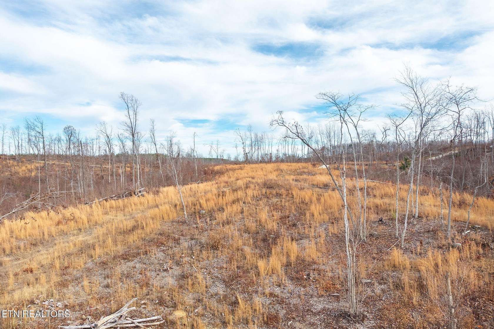 12 Acres of Land for Sale in Jamestown, Tennessee