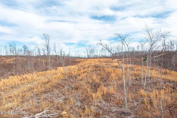 12 Acres of Land for Sale in Jamestown, Tennessee