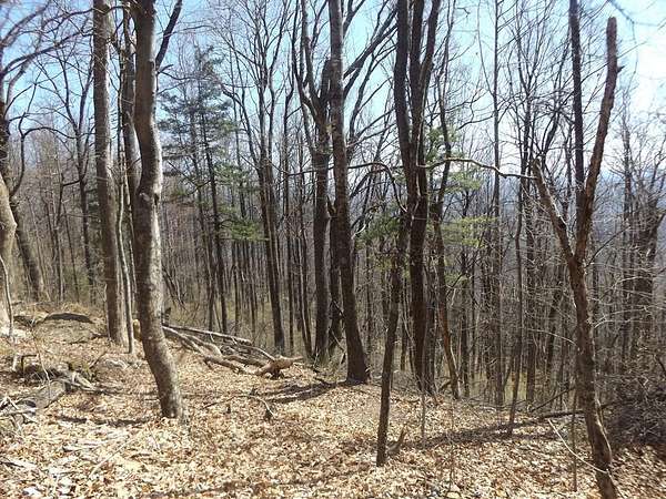 0.5 Acres of Residential Land for Sale in Fancy Gap, Virginia