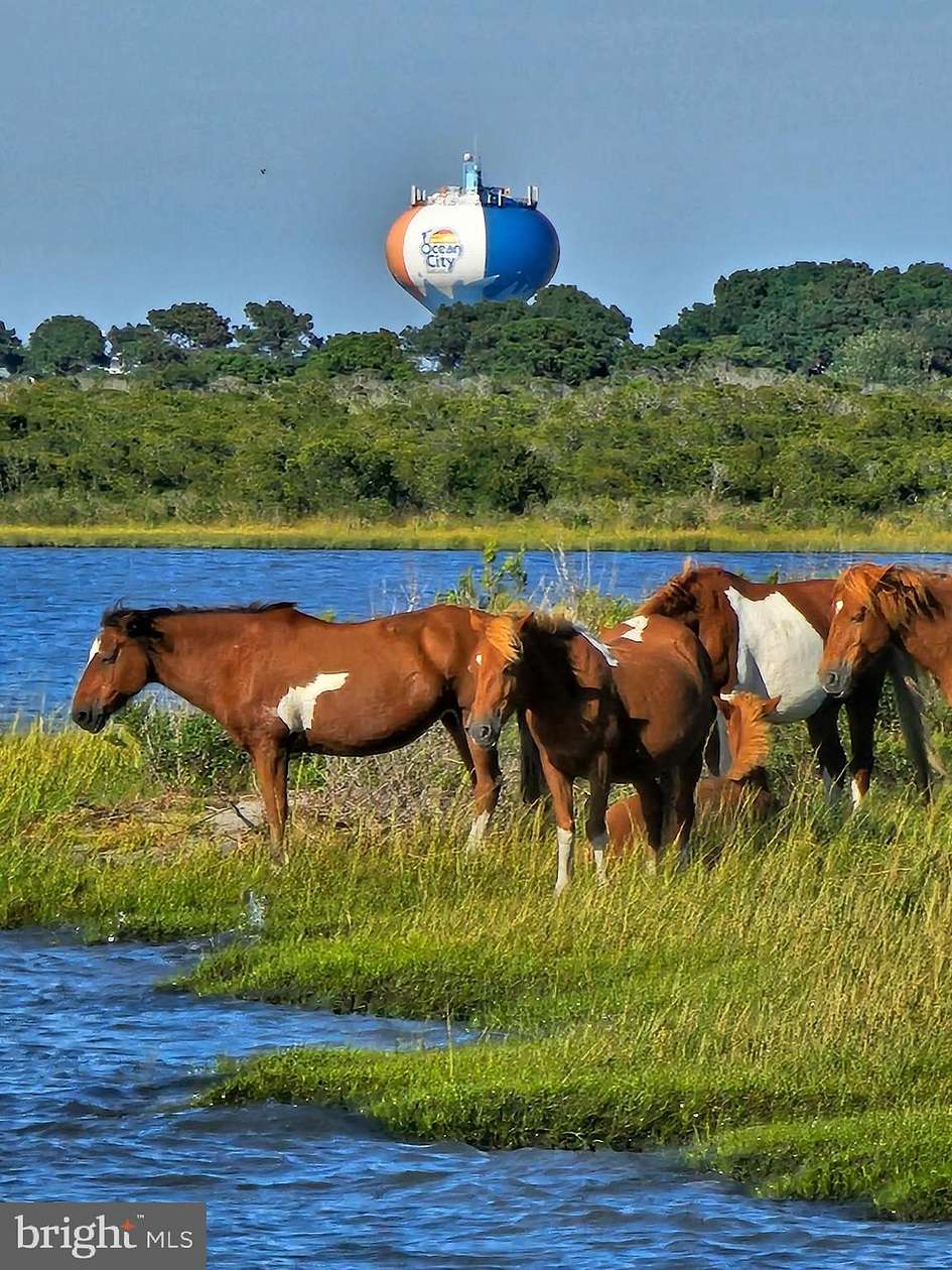 0.5 Acres of Land for Sale in Ocean City, Maryland