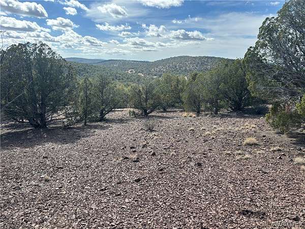 159 Acres of Agricultural & Residential Land for Sale in Kingman, Arizona
