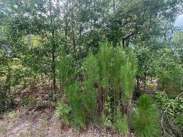 0.94 Acres of Land for Sale in Beech Island, South Carolina