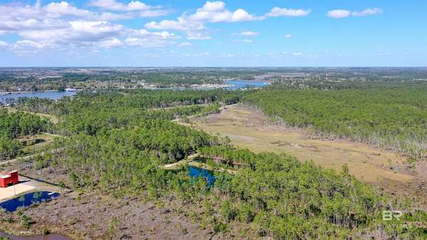 11 Acres of Land for Sale in Gulf Shores, Alabama