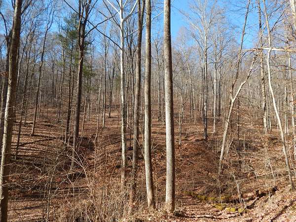 69 Acres of Recreational Land for Sale in Harrisville, West Virginia