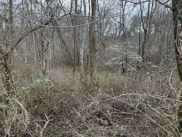 0.49 Acres of Residential Land for Auction in Rockwood, Tennessee