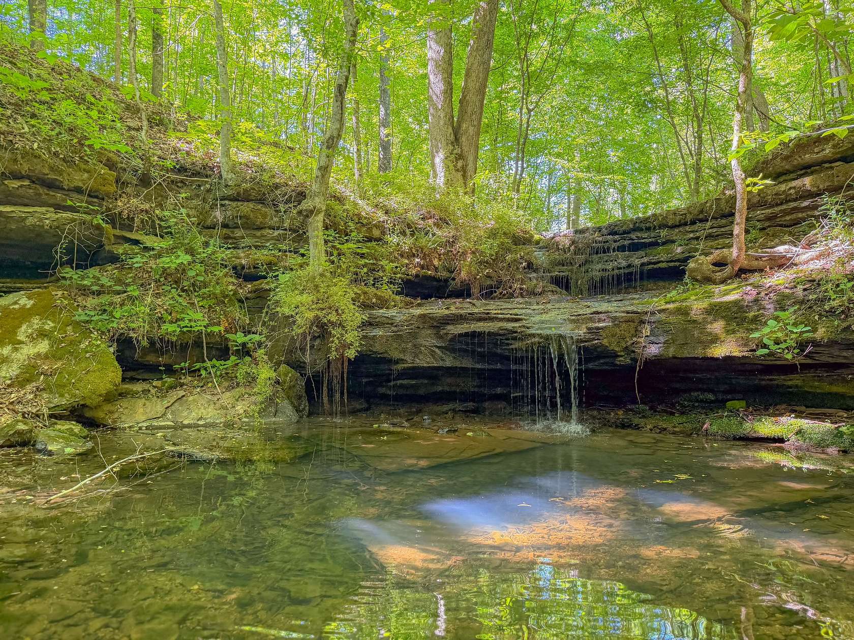 137 Acres of Land for Sale in Pulaski, Tennessee