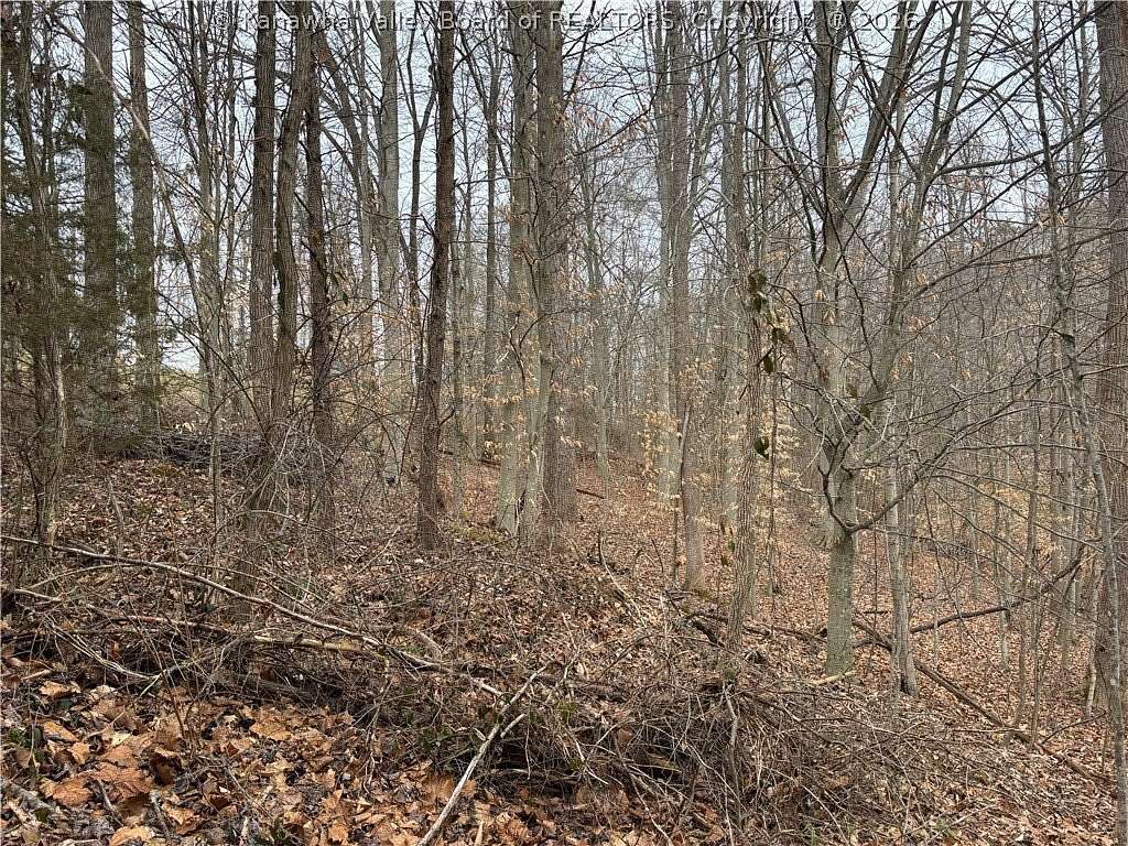 Residential Land for Sale in St. Albans, West Virginia