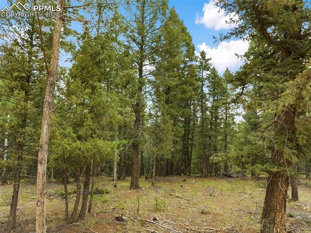 1 Acre of Residential Land for Sale in Divide, Colorado