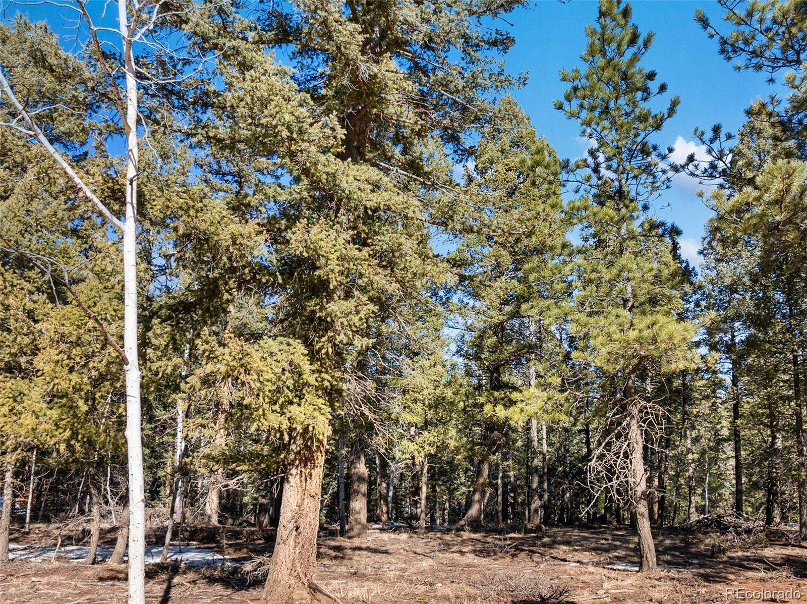 1 Acre of Residential Land for Sale in Divide, Colorado