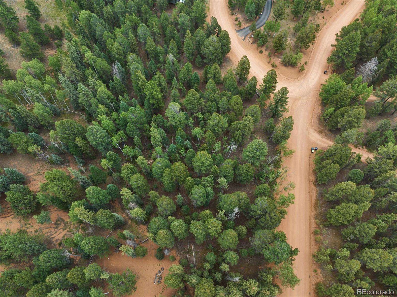 1 Acre of Residential Land for Sale in Divide, Colorado
