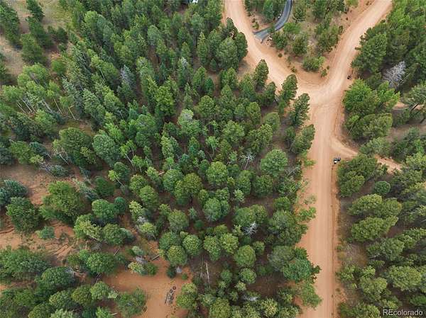 1 Acre of Residential Land for Sale in Divide, Colorado