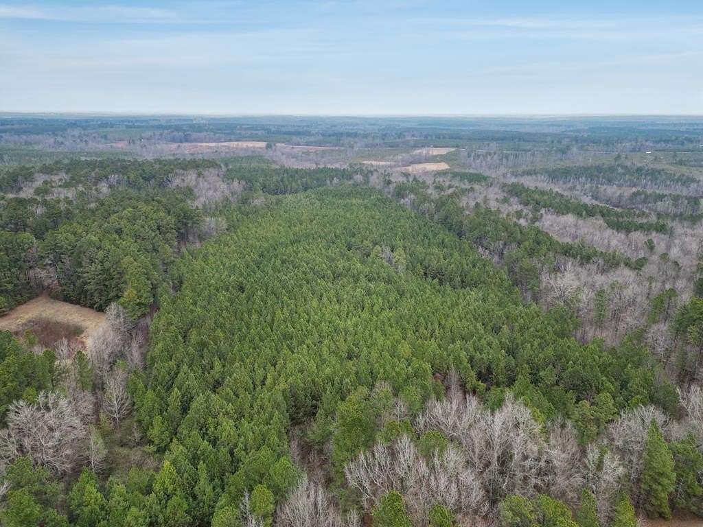 33 Acres of Recreational & Residential Land for Sale in Warrenton, North Carolina